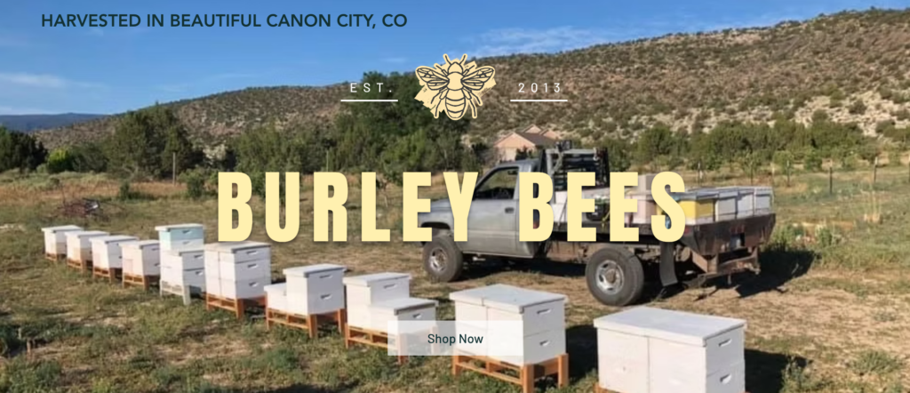 Beekeeping Education Near Me - Field Day