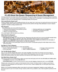 All About Honey Bee Queens