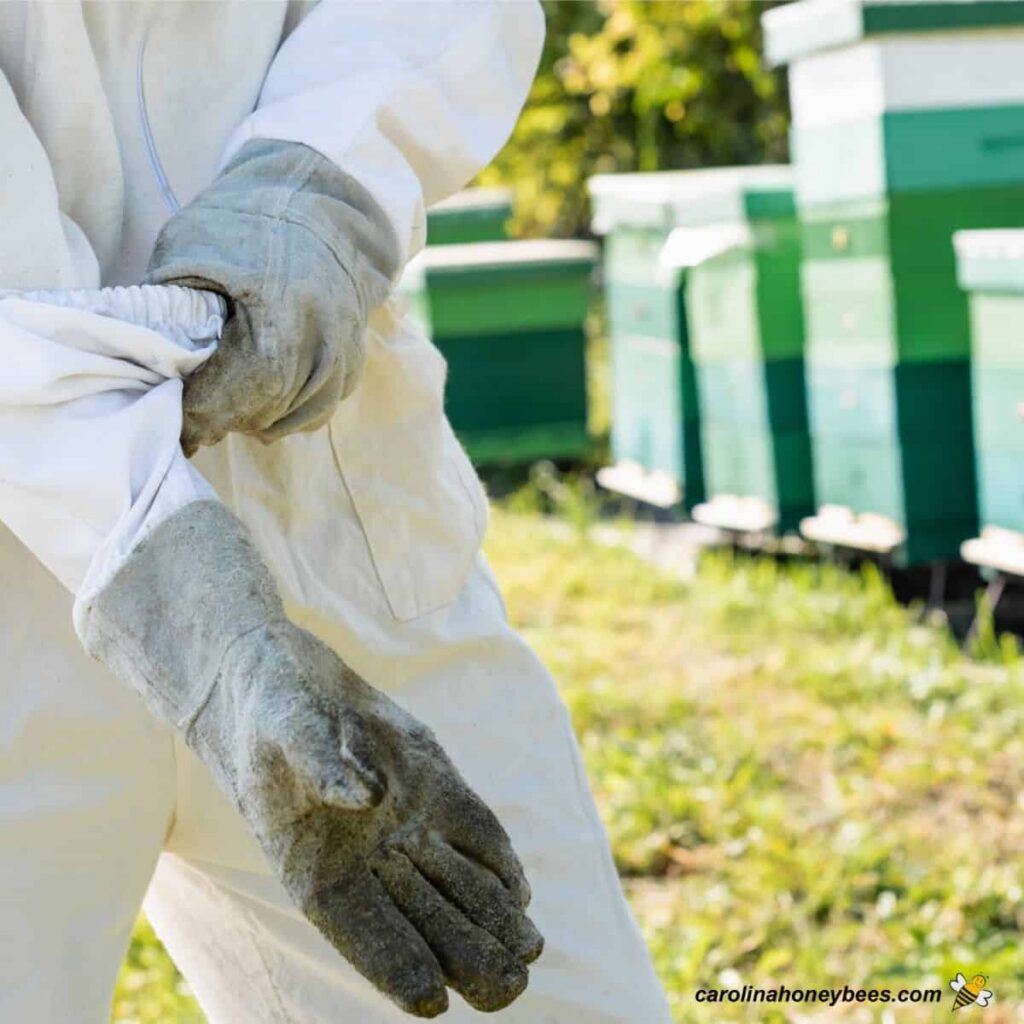 Beekeeping Safety Tips & Guidelines