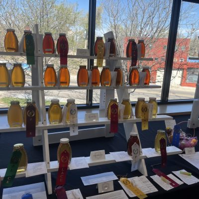 2026-PCBA-BeeCurious-School-014