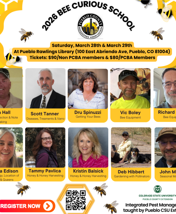 March 28-29, 2026 PCBA BeeCurious School