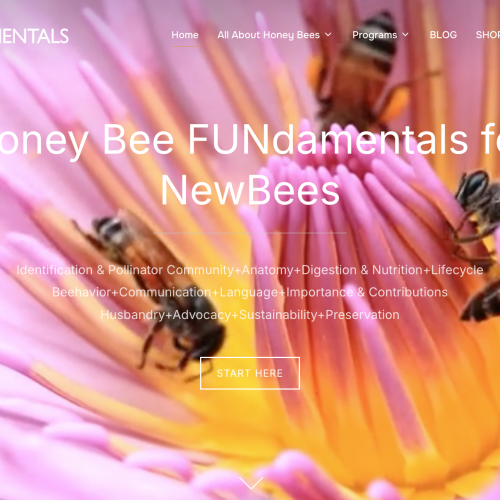 Honey Bee FUNdamentals for NewBEES ~ Educational Website