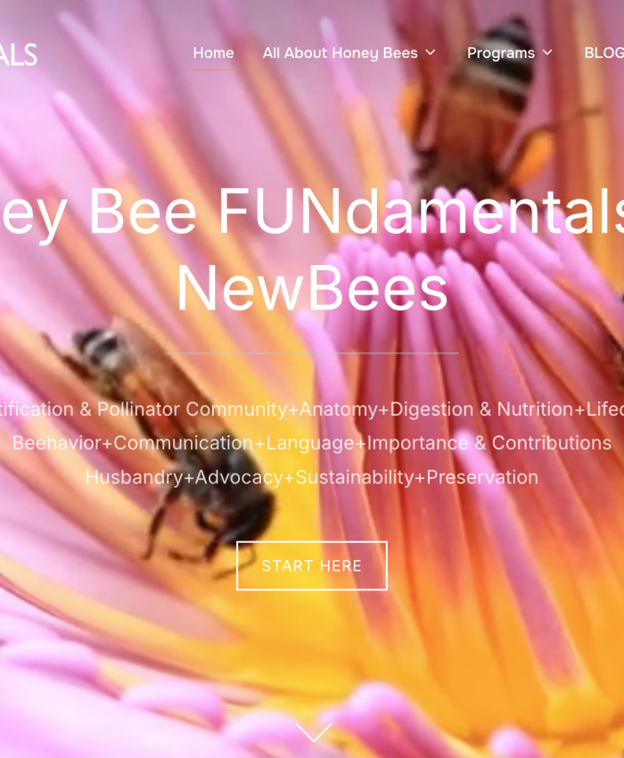 Honey Bee FUNdamentals for NewBEES ~ Educational Website
