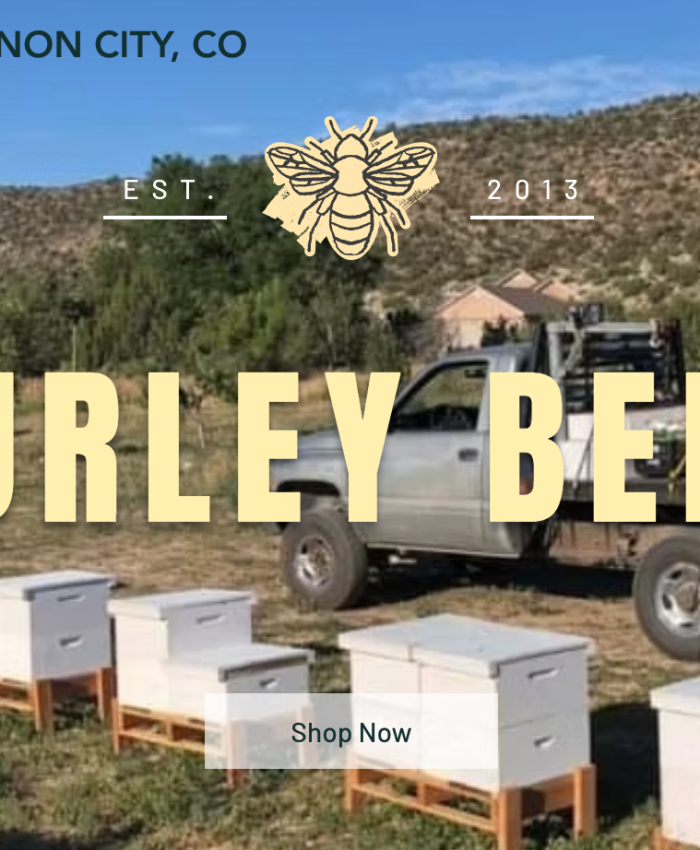 Beekeeping Education Near Me - Field Day