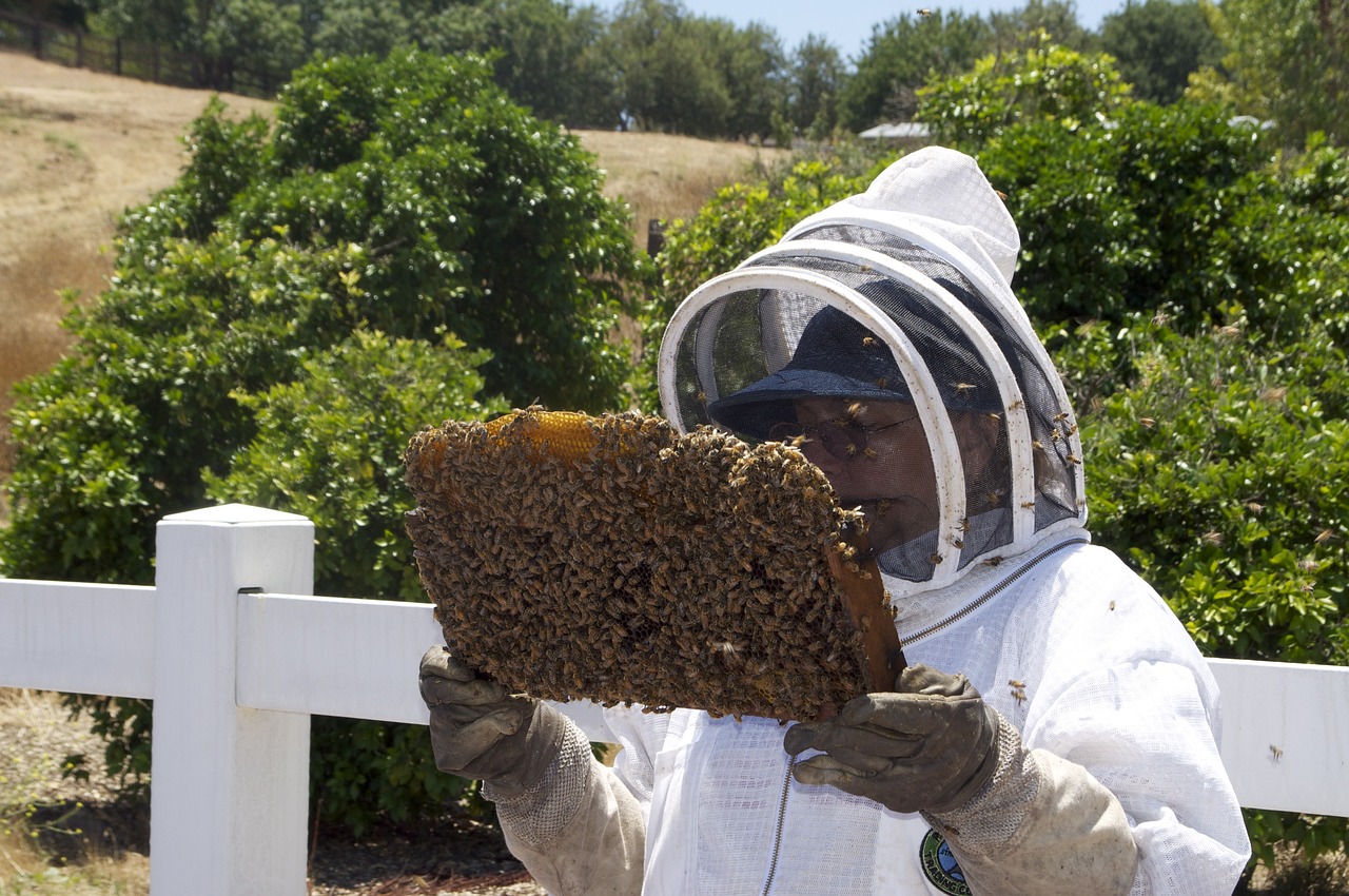 honey, honeybee, honey jar-109001.jpg