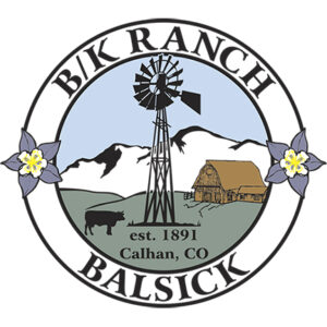 BALSICK LOGO pin cmyk