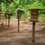 Stingless Beehives, Peru